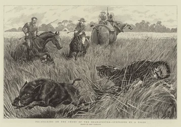 Pig Sticking on the Churs of the Bramapootra, Surprised by a Tiger